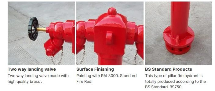 product-704-300