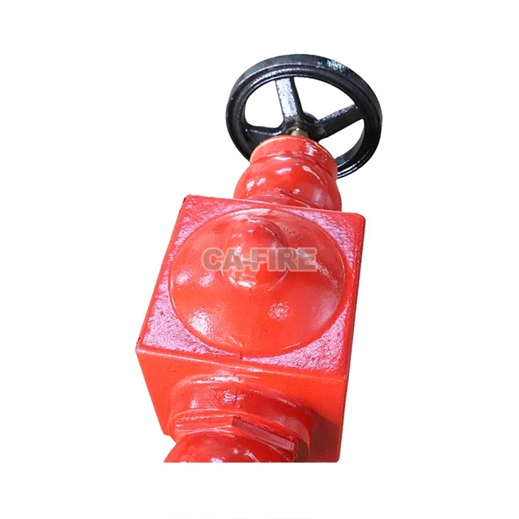 BS750 Durable Above-Ground Hydrant With 2.5-Inch Outlets For Firefighting factory